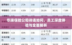 华瑞保险公司员工深度体验，待遇与工作环境全面解析