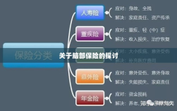 脑部保险，深度探讨与解析