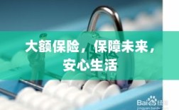 大额保险，安心生活的未来保障