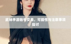 武林手游账号交易，可能性与注意事项探讨