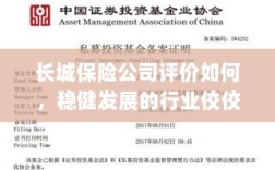长城保险公司评价积极，行业稳健发展的佼佼者