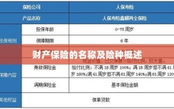 财产保险名称及险种概览