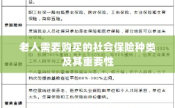 老人需购买的社会保险种类及其重要性概览