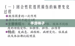 手游棒子释义与概述