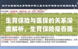 生育保险与医保深度关联解析，生育保险是否归入医保范畴？