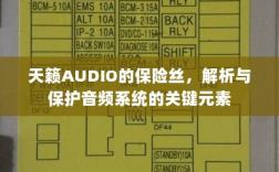 天籁AUDIO保险丝，解析与音频系统保护的关键要素
