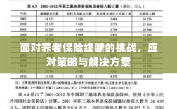养老保险中断挑战应对方案与策略探讨