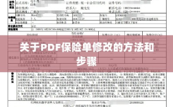 PDF保险单修改指南，方法与步骤详解
