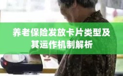 养老保险发放卡片类型与运作机制深度解析