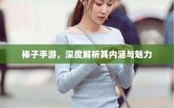 棒子手游，深度解析其内涵与魅力
