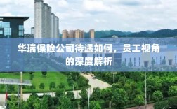 华瑞保险公司员工待遇深度解析，员工视角探讨揭秘公司福利待遇内幕