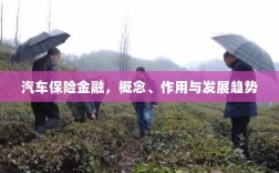 汽车保险金融，概念、功能及未来发展趋势