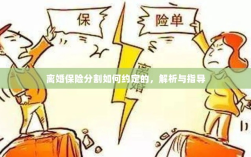 离婚保险分割约定详解与指导手册