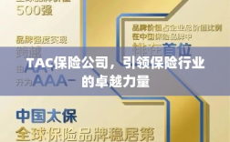 TAC保险公司，引领保险行业的翘楚力量
