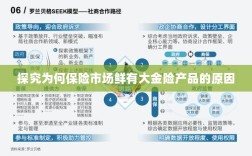 大金险产品稀缺，探究保险市场的现状与原因