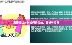 离婚保险分割约定详解与指导手册