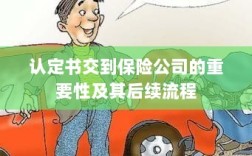 认定书对保险公司的重要性及后续流程详解