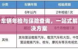 车辆年检与保险查询，一站式解决方案解析