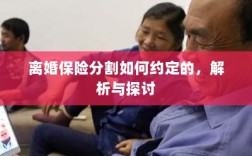 离婚保险分割约定详解，解析与探讨