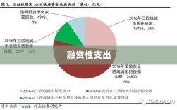 融资性支出的深度解析，概念、重要性及实际应用探讨