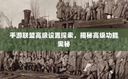 手游联盟高级设置探索，揭秘高级功能奥秘