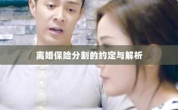 离婚保险分割的约定详解与解析