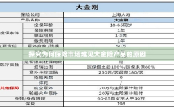 大金险产品在保险市场的缺席之探，原因探究