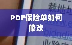 PDF保险单修改指南