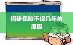 揭秘保险不保多年的原因解析