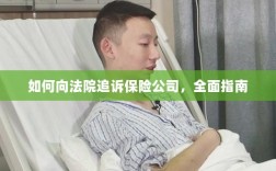 如何向法院追诉保险公司，全面指南解析