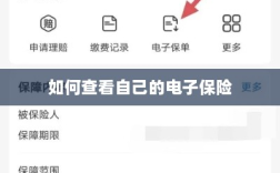 如何查看个人电子保险保单详情