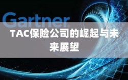 TAC保险公司的崛起及未来展望