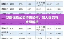 华瑞保险公司待遇深度探究与全面解析