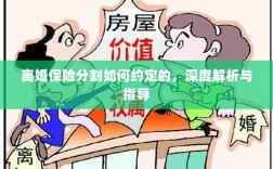 离婚保险分割深度解析与指导，约定要点及操作流程