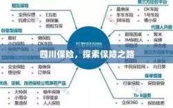 四川保险，探索全方位保障之路