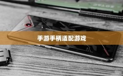 手游手柄适配游戏及体验优化探讨