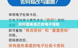 如何查看个人电子保险保单详情
