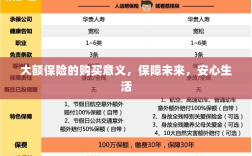 大额保险的购买意义，保障未来，安心生活