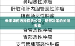 未来如何选择保险公司，明智决策的关键要素概览