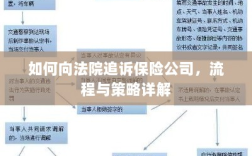 保险公司追诉流程与策略详解，如何向法院维权？