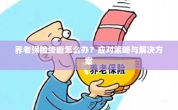 养老保险中断应对指南，解决方案与策略探讨