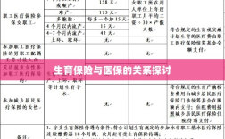 生育保险与医保关系深度探讨，融合与协同发展的视角