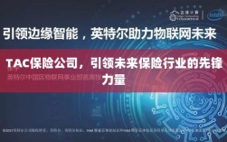 TAC保险公司，领航未来保险行业，成为先锋典范