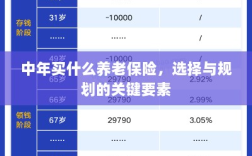 中年养老保险选择与规划的关键要素解析
