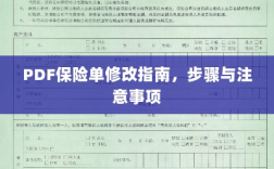 PDF保险单修改指南，步骤详解与注意事项