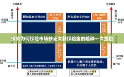 探究保险市场大额保险金险种缺失现象，大金险的缺失原因探究