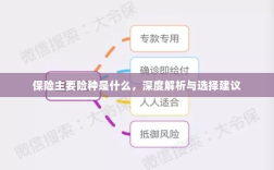 保险主要险种详解，深度解析与选择建议攻略