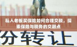 私人老板如何合理交保险税，探索保险与税务的交融之道