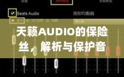 天籁AUDIO保险丝，解析与音频系统保护的关键要素
