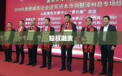 股权融资对外融资，企业金融成长之路